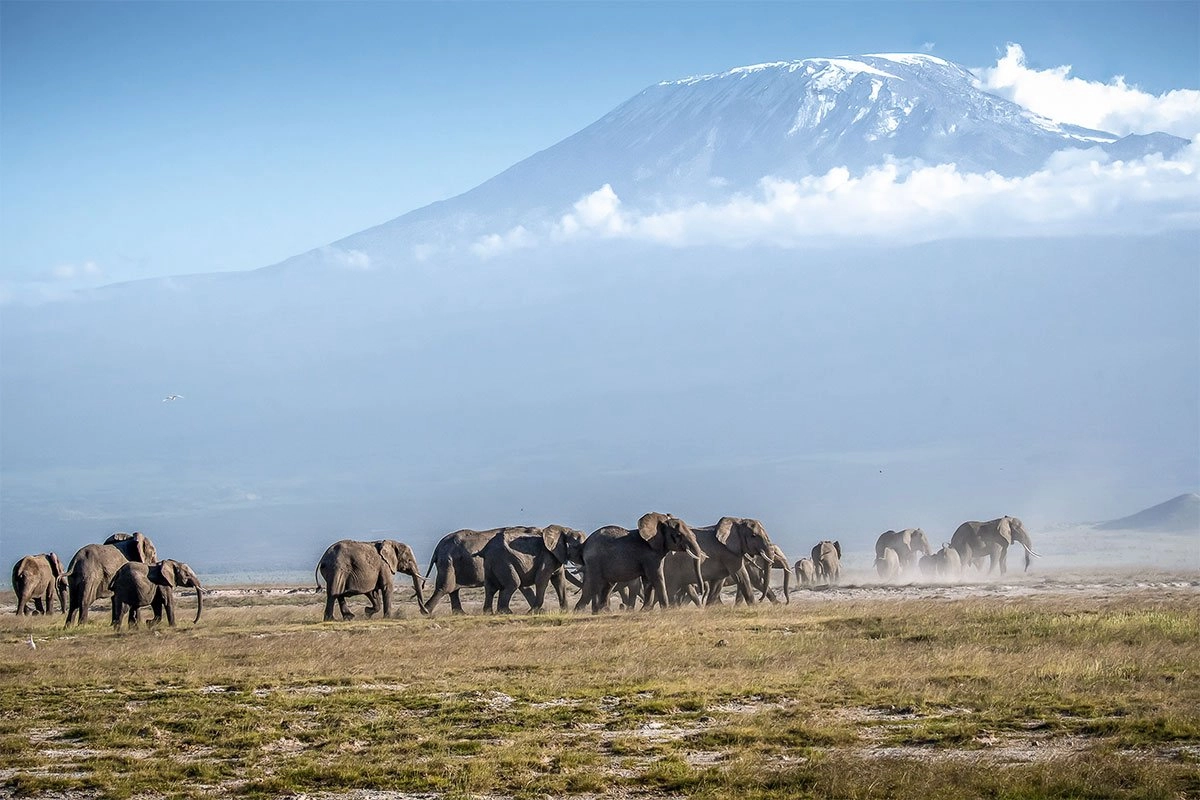 Mount Kenya National Park