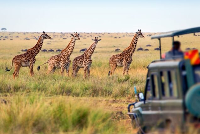 15 Days East Africa Grand Safari