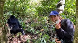 solo-travel-guide-to-gorilla-trekking-in-east-africa