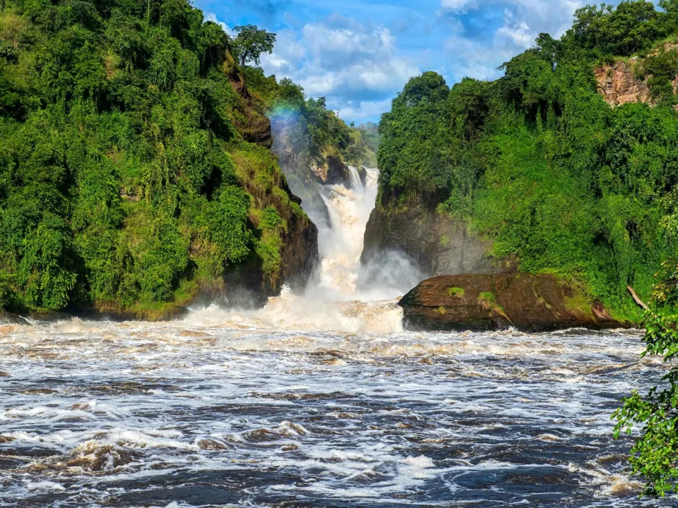 best-national-parks-for-wildlife-safaris-in-uganda-and-rwanda