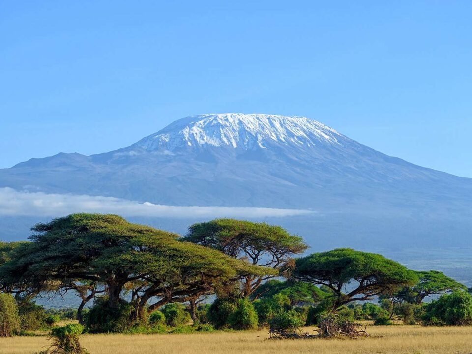 amboseli-national-park-safari-with-mount-kilimanjaro-views