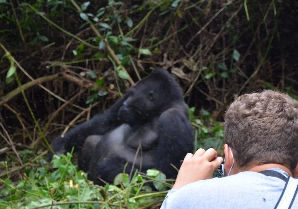 what-to-expect-during-a-rwanda-gorilla-trekking-experience