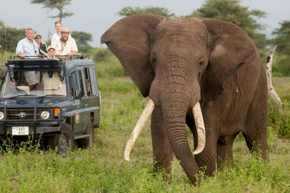 best-wildlife-safaris-in-east-africa