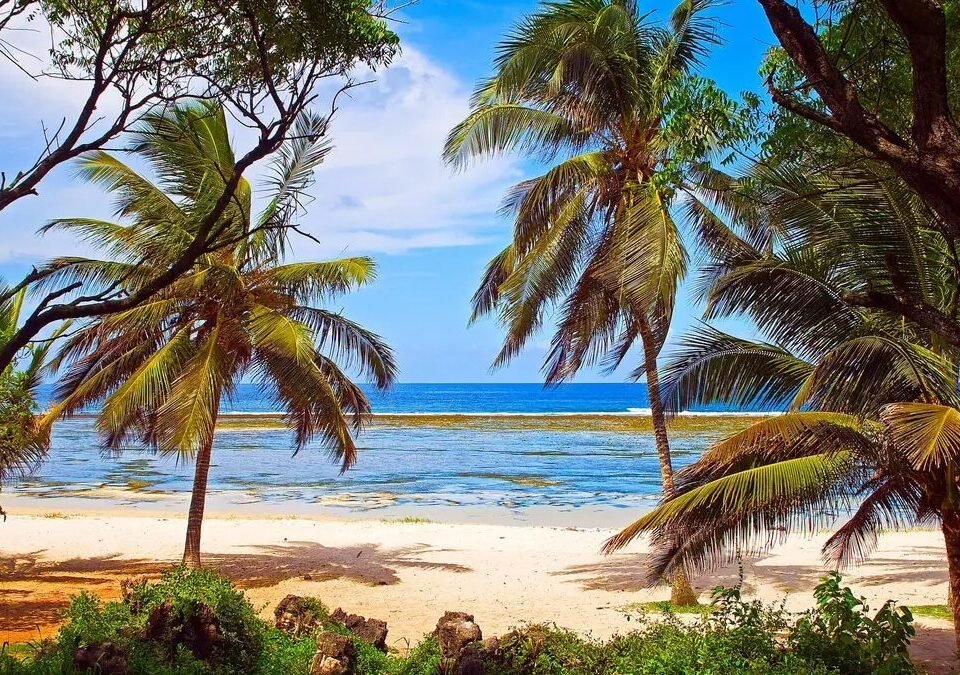kenya-beach-and-safari-holidays