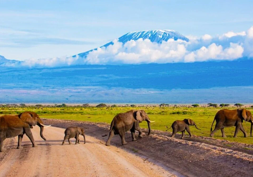 what-to-pack-for-an-african-safari-adventure