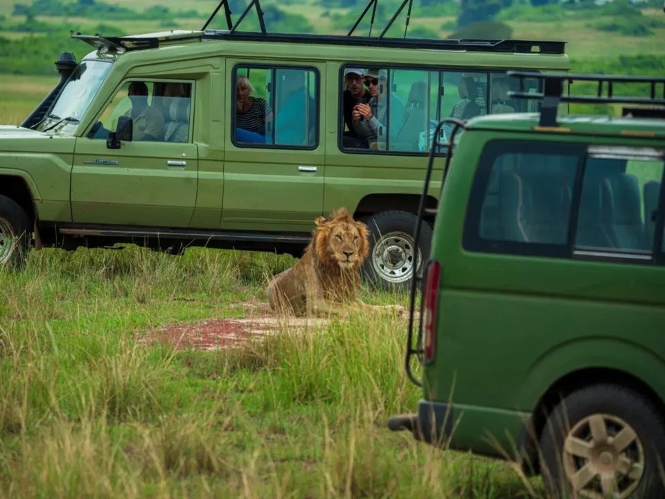 luxury-big-five-safaris-in-uganda