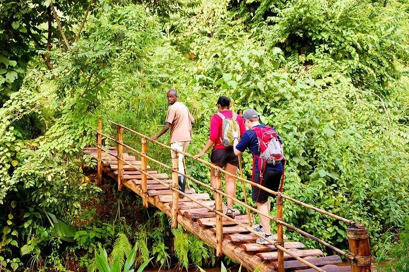 best-nature-walks-in-uganda