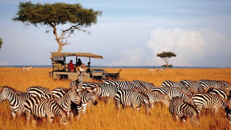 top-wildlife-safaris-in-east-africa-you-shouldnt-miss