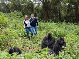 one-day-gorilla-trekking-rwanda-safari