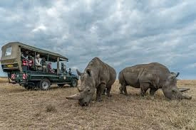 east-africa-safari-experiences-that-change-lives