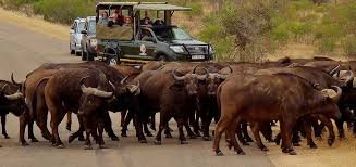 east-africa-cross-country-safaris