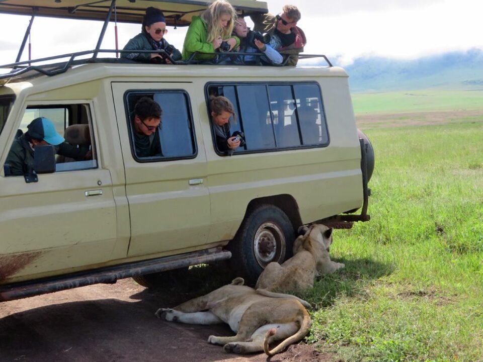 family-friendly-kenya-safari-tours-and-activities