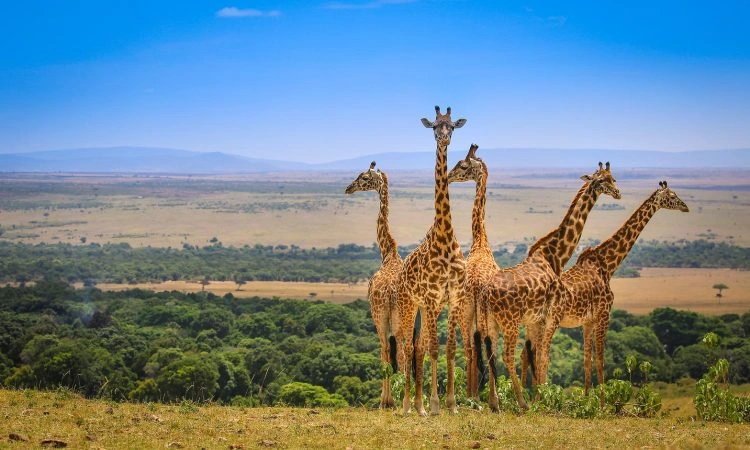 east-africa-safari-destinations-for-nature-photography