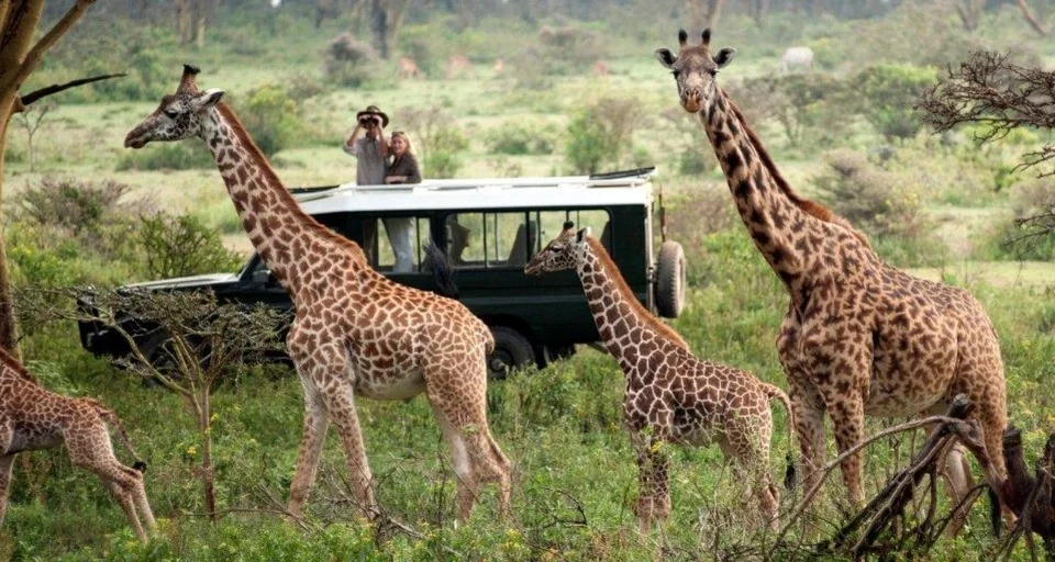 kenya-to-uganda-safari-itinerary