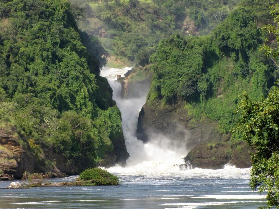 best-national-parks-in-east-africa-for-wildlife-viewing