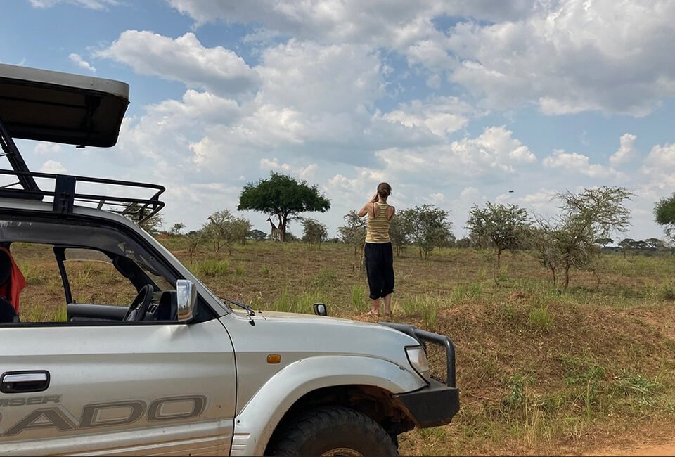 self-drive-vs-guided-uganda-safari